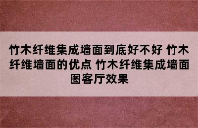 竹木纤维集成墙面到底好不好 竹木纤维墙面的优点 竹木纤维集成墙面图客厅效果